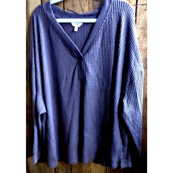 Terra & Sky Shirt Plus Size 4X 28 30 Top Tunic V Neck Long Sleeve Purple Soft - Picture 1 of 4